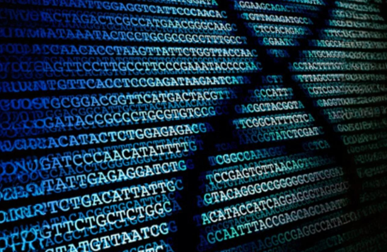 DNA Sequencing & Genotyping