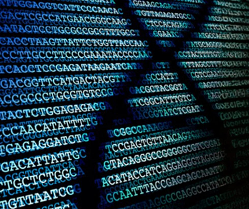 DNA Sequencing & Genotyping