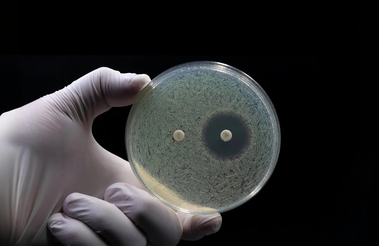 MIC and MBC/MFC Testing