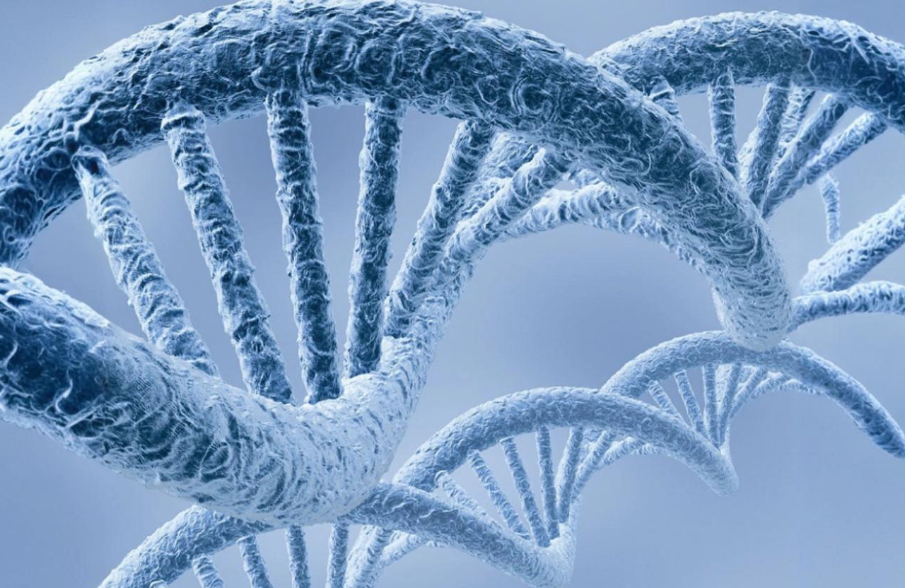 Nucleic Acid Extraction
