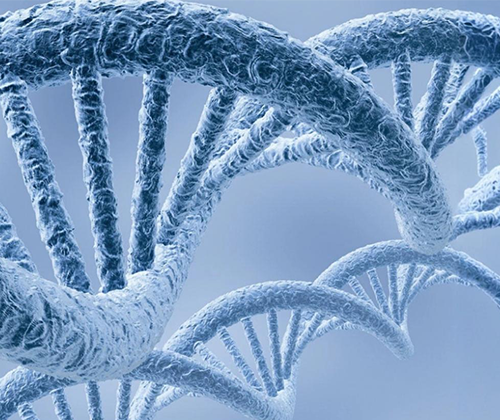Nucleic Acid Extraction