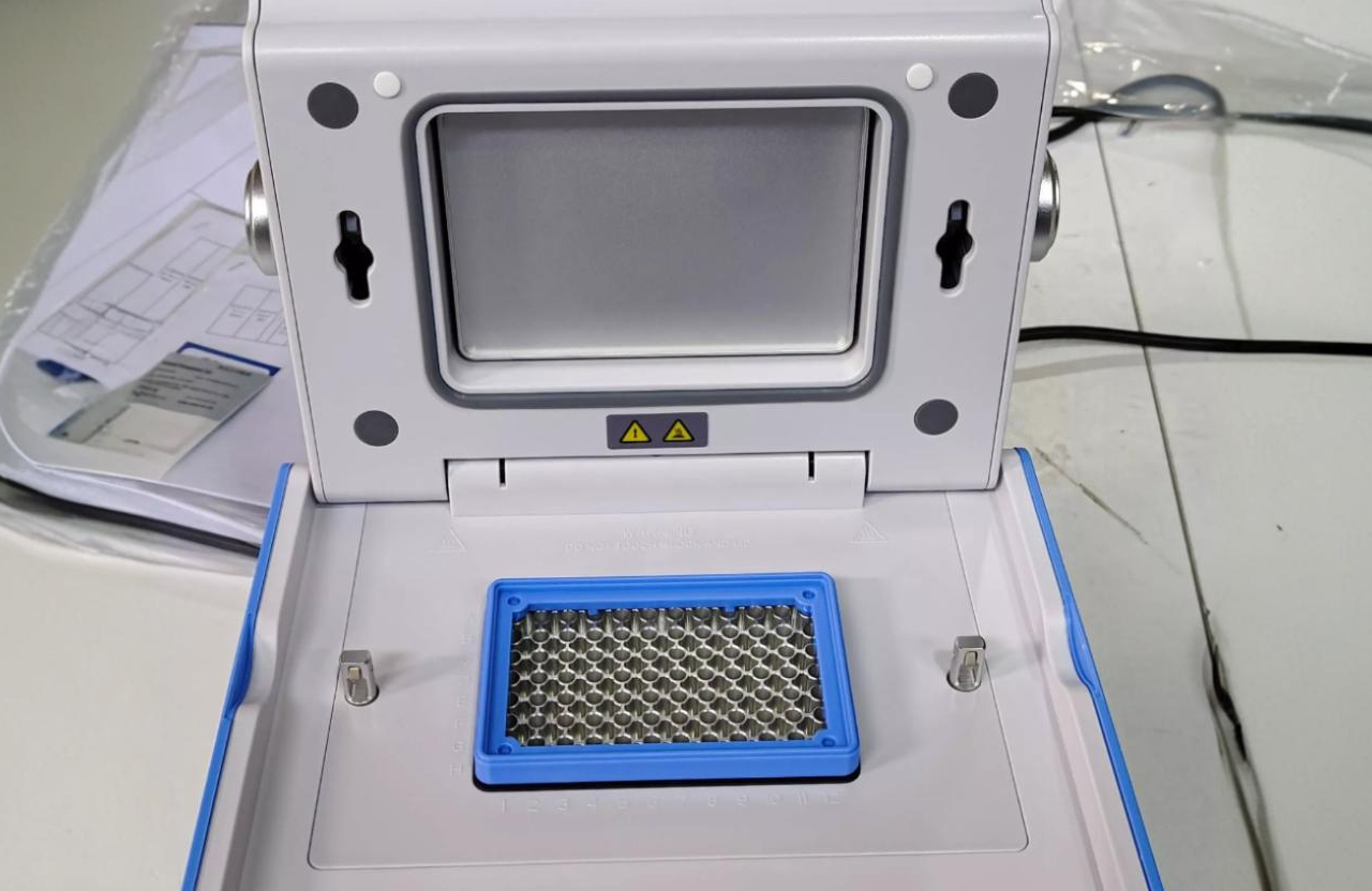 Polymerase Chain Reaction (PCR)