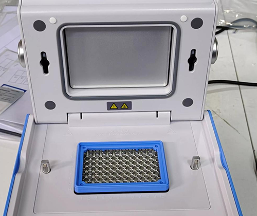 Polymerase Chain Reaction (PCR)
