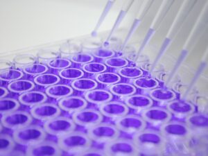 Dye Elution (Crystal Violet Assay)