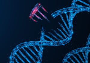 Genotoxicity Assays