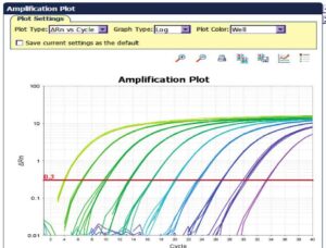 Reverse Transcription PCR (RT-PCR)