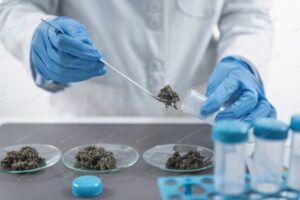 Pesticides analysis