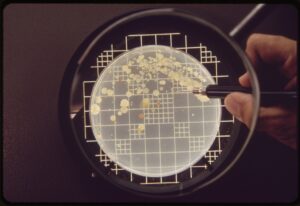 The Microbial Enumeration Test