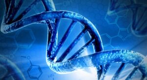 DNA cloning (Recombinant plasmid & Transformation)