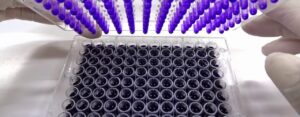 Anti-Biofilm Assay
