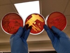 killing Time Assay