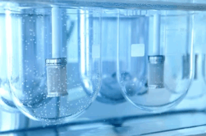 Dissolution test